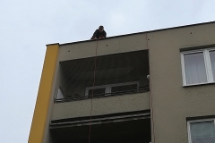 Montáž sítí proti ptákům